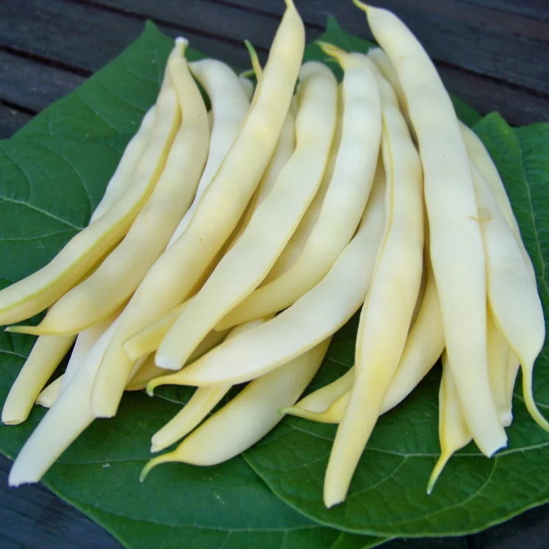 Haricots mangetout - Beurre de Rocquencourt