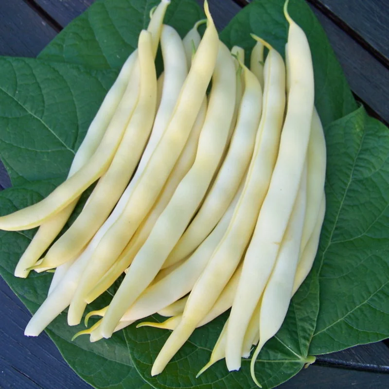 Haricots mangetout - Beurre de Rocquencourt