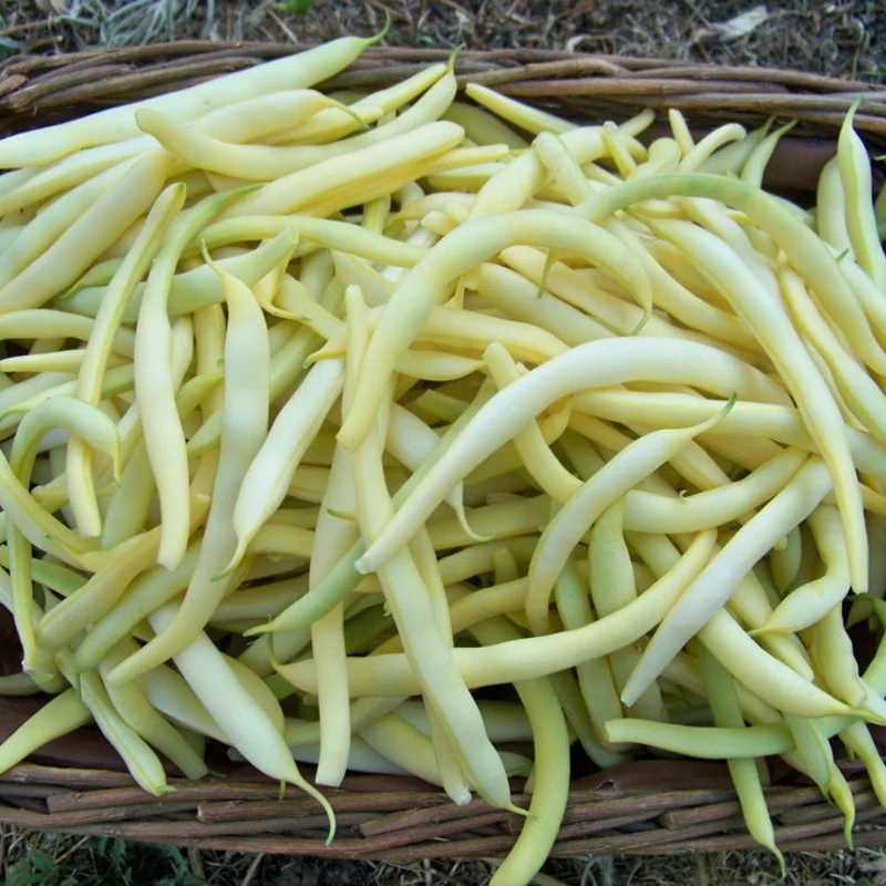 Haricots mangetout - Beurre de Rocquencourt