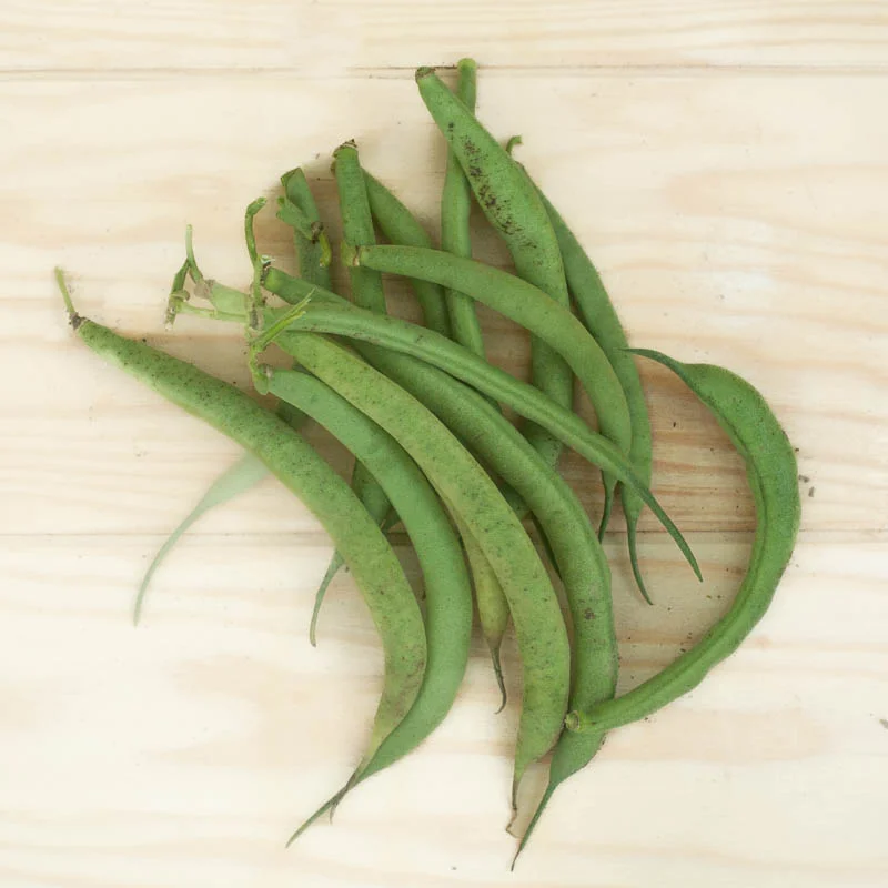 Haricots mangetout - Fin de Bagnol