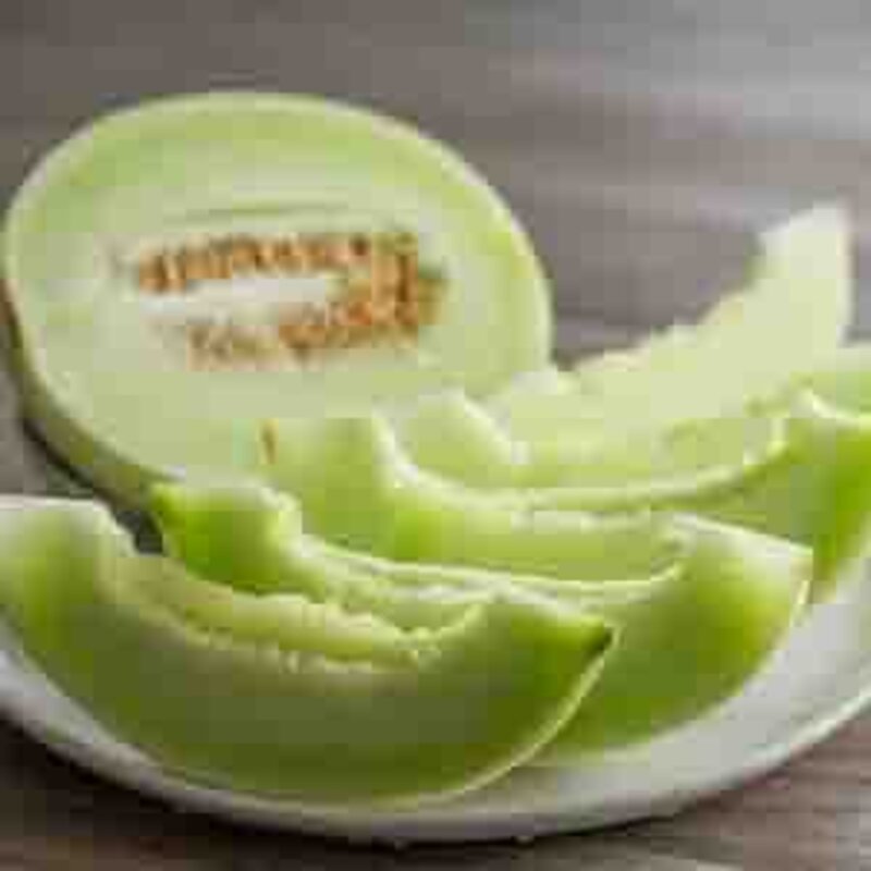 Melons - Honeydew A Chair Verte