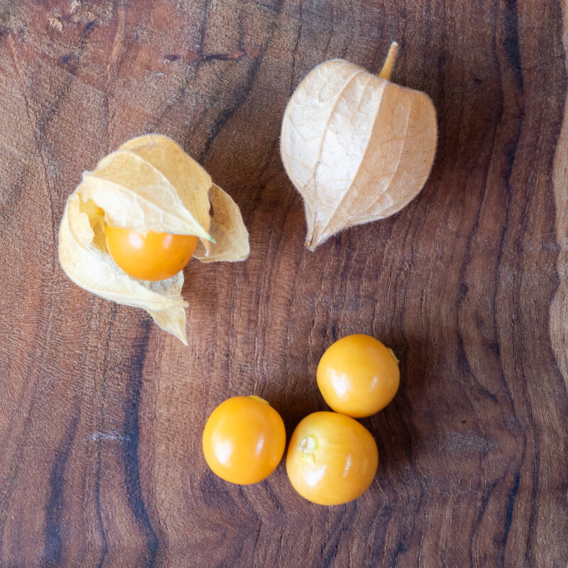 Physalis - Coqueret du Pérou