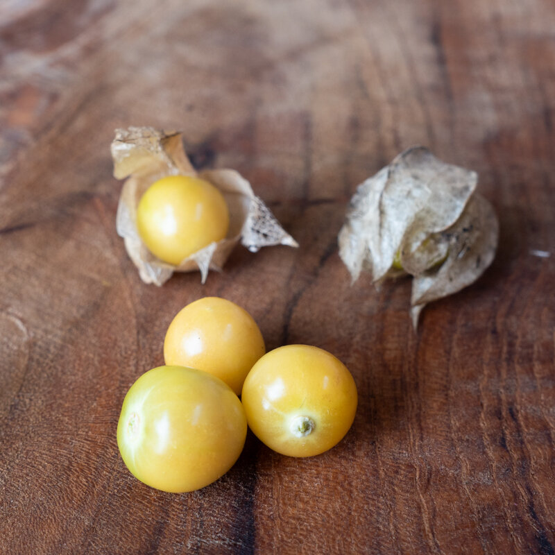 Physalis - Cerise de Terre