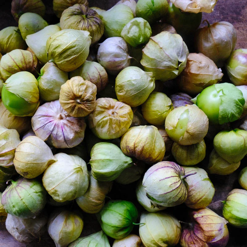 Physalis - Toma Verde