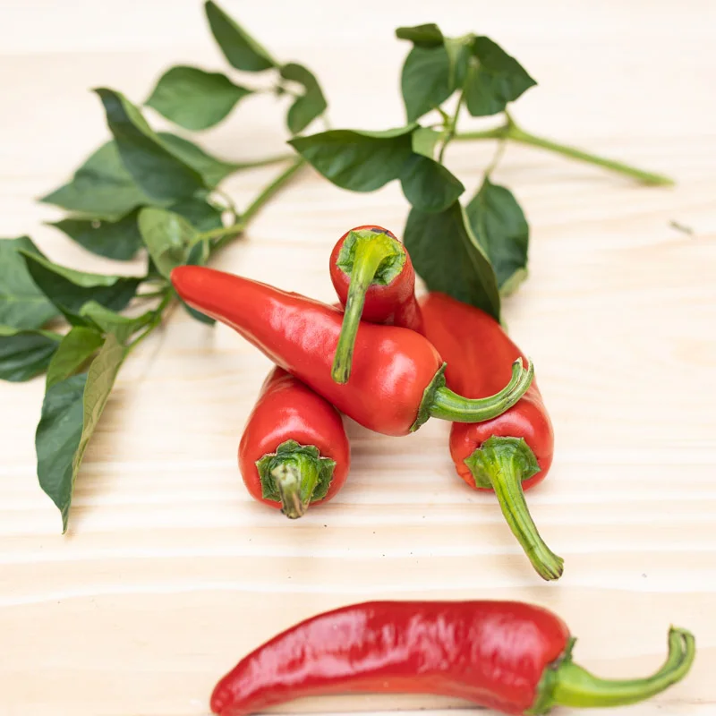 Piments/Poivrons - D’Espelette / Gorria