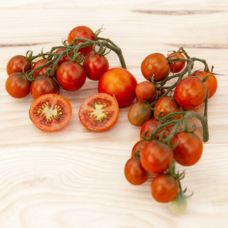 Tomates cerises - Ambrosia Giant