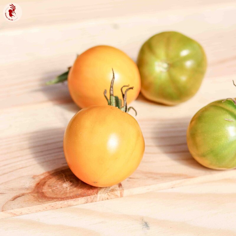 Tomates - Esmeralda Golosina