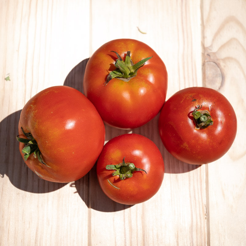 Tomates - Merveille des Marchés