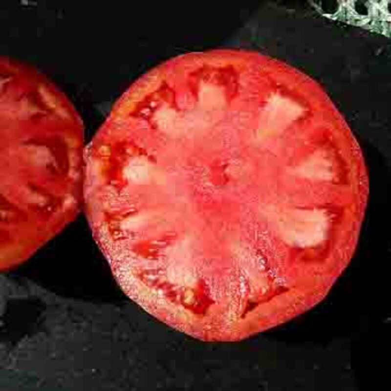 Tomates - Coeur de Velours
