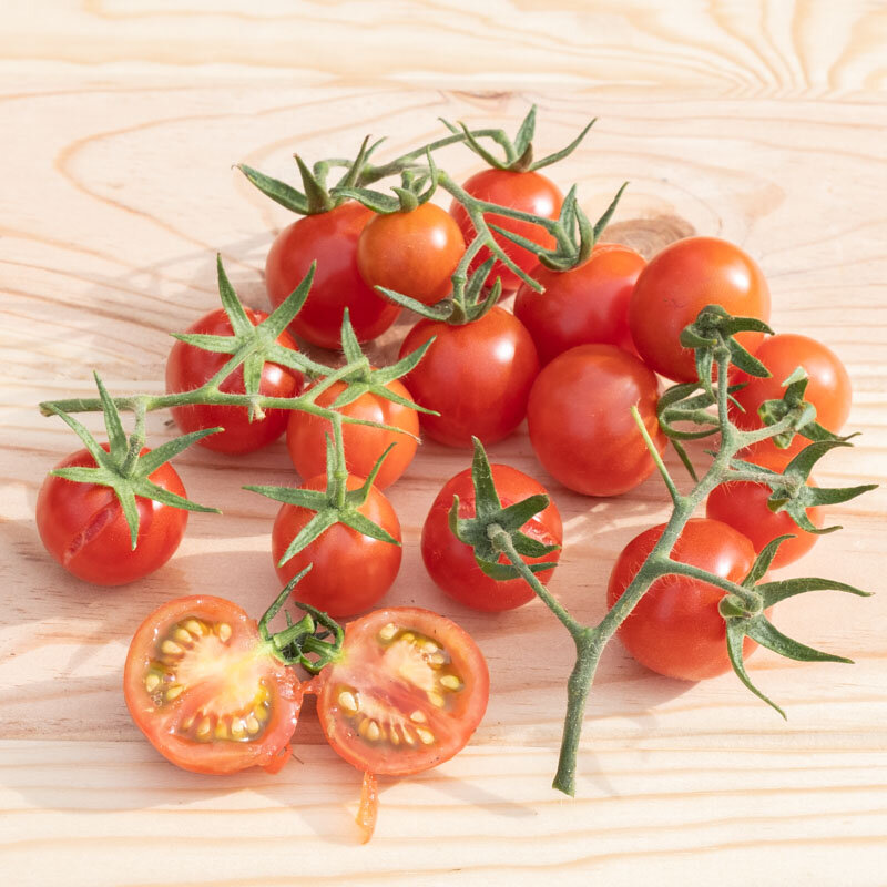 Tomates-Cerises - Cherry Chadwick