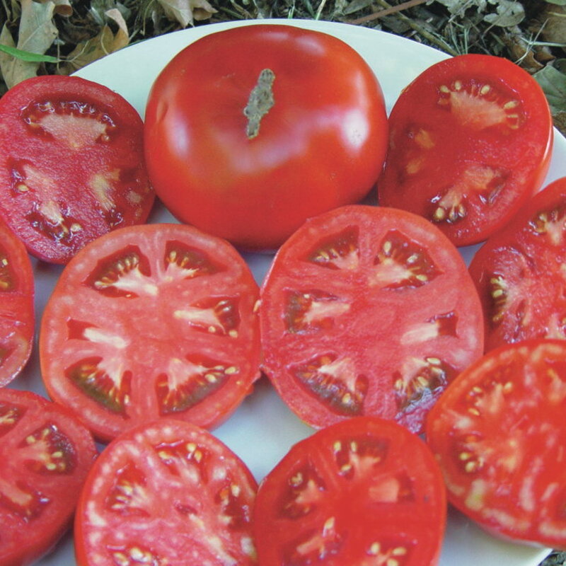 Tomates - Glasnost