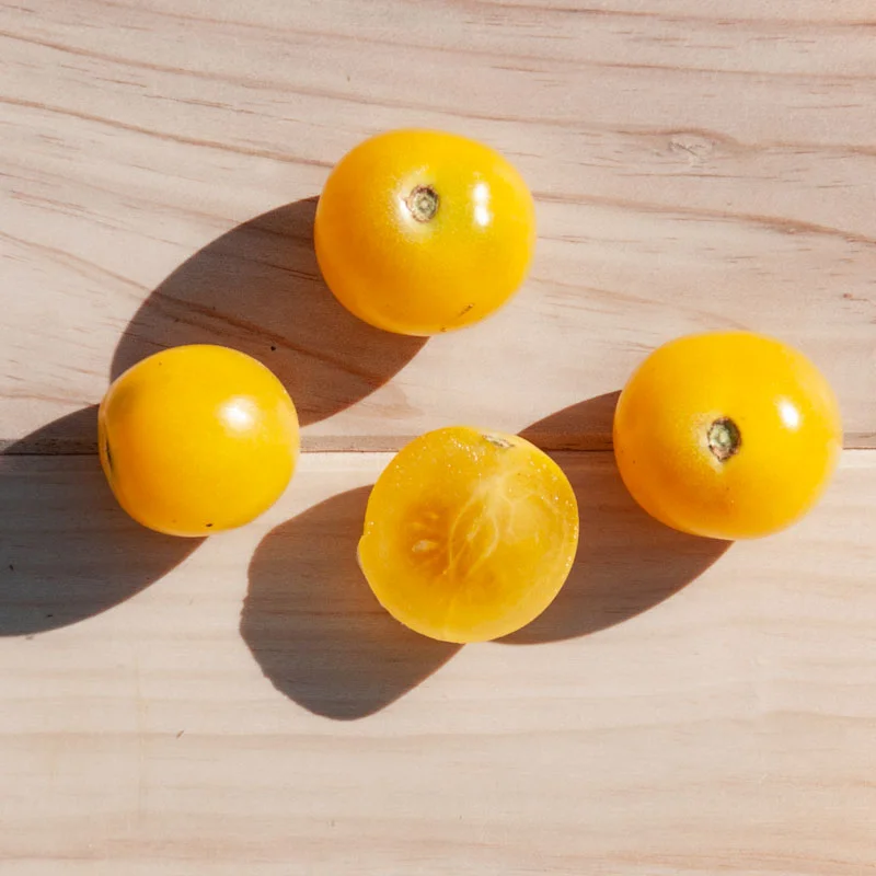 Tomates cerises - Cerise Blanche / Mirabelle Blanche