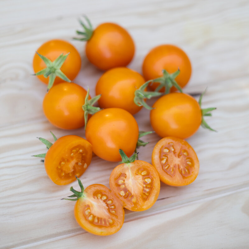 Tomates cerises - Prize Of The Trials