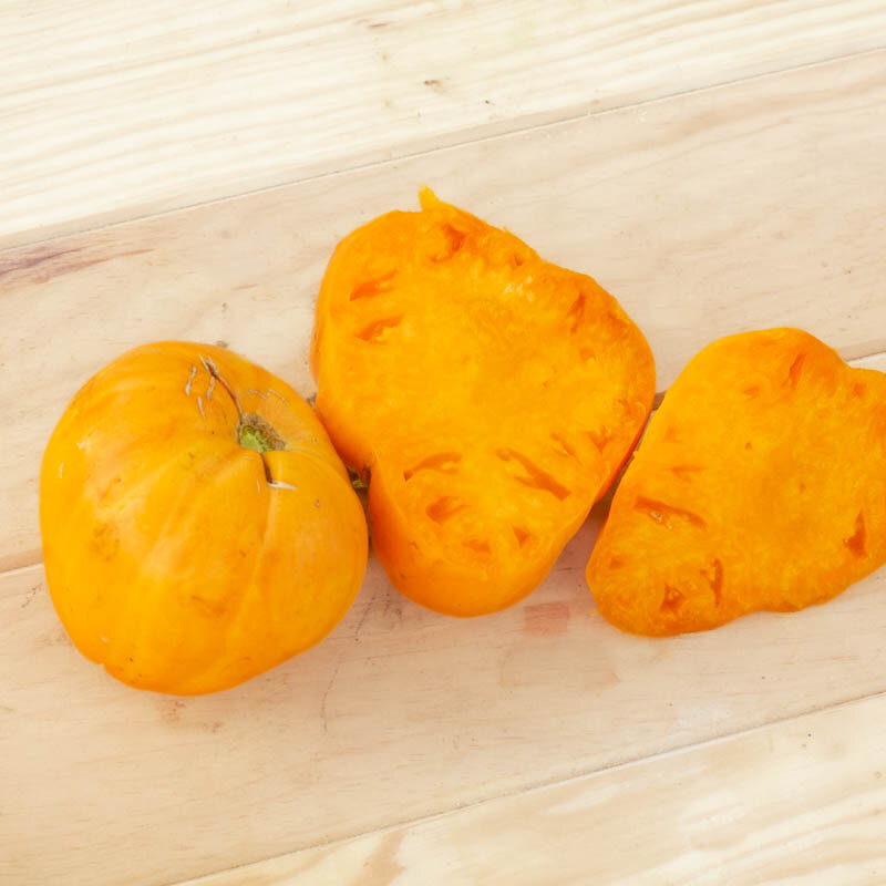 Tomates - Verna Orange