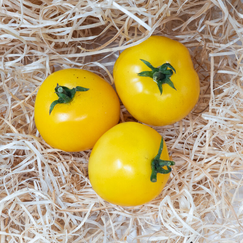 Tomates - Taxi Yellow