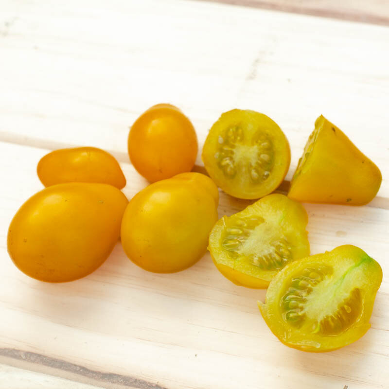 Tomates cerises - Fargo Yellow Pear