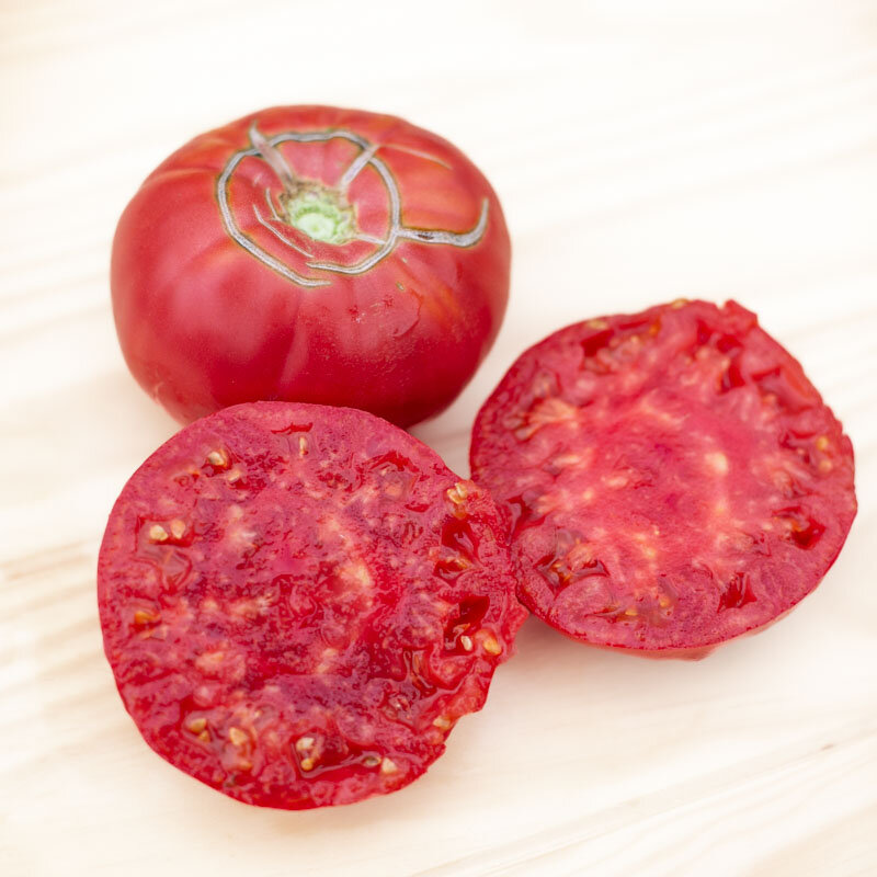 Tomates - Ispolin