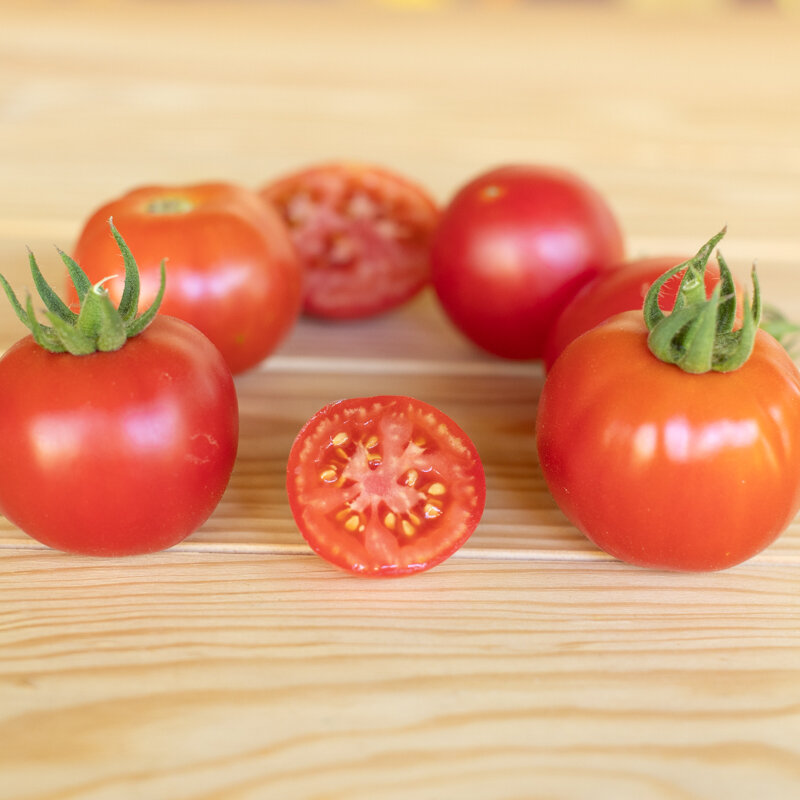 Tomates - Livingston’s Main Crop Pink