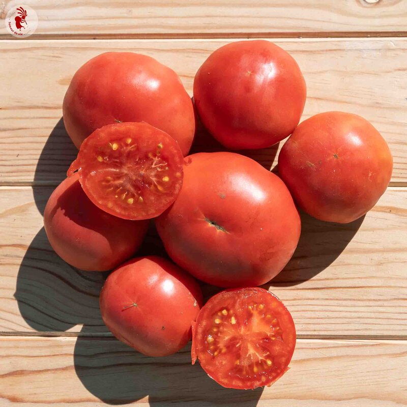 Tomates - June Pink