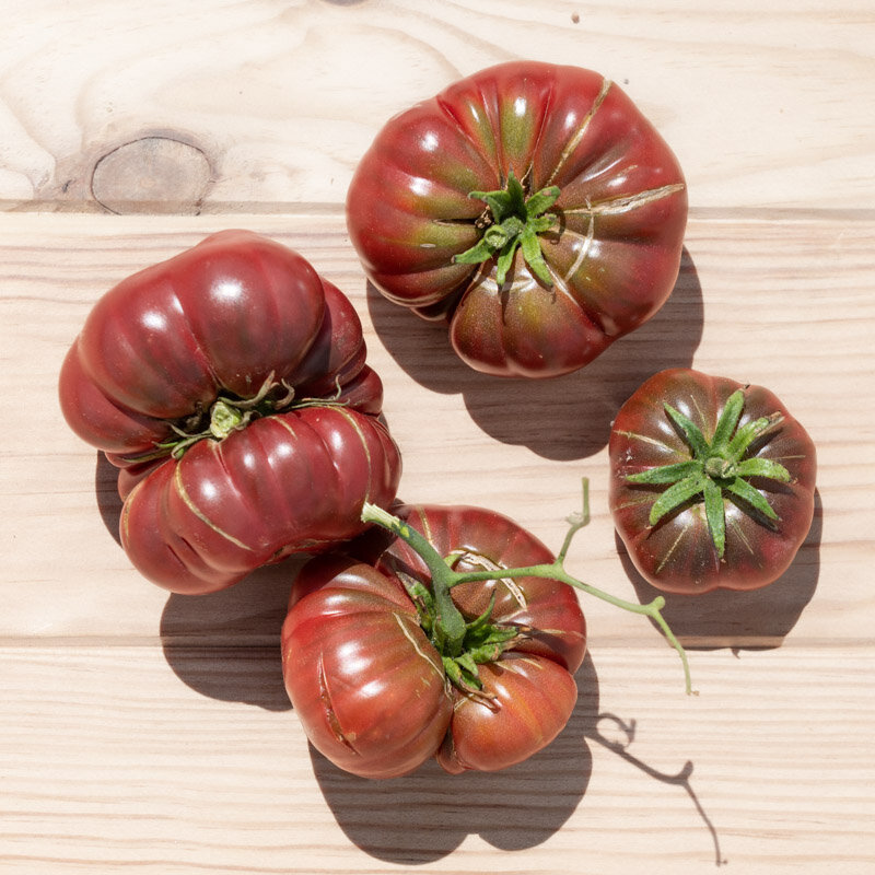 Tomates - Purple Calabash