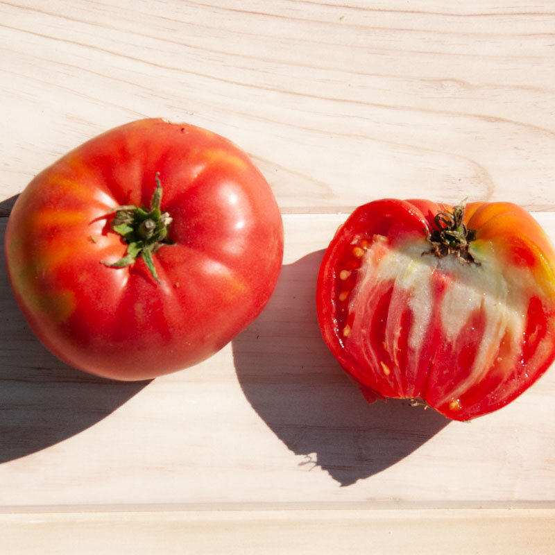 TOMATE COEUR DE BOEUF ROSE AB