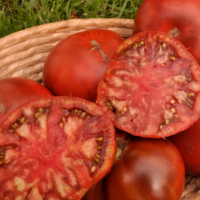 Tomates - Paul Robeson