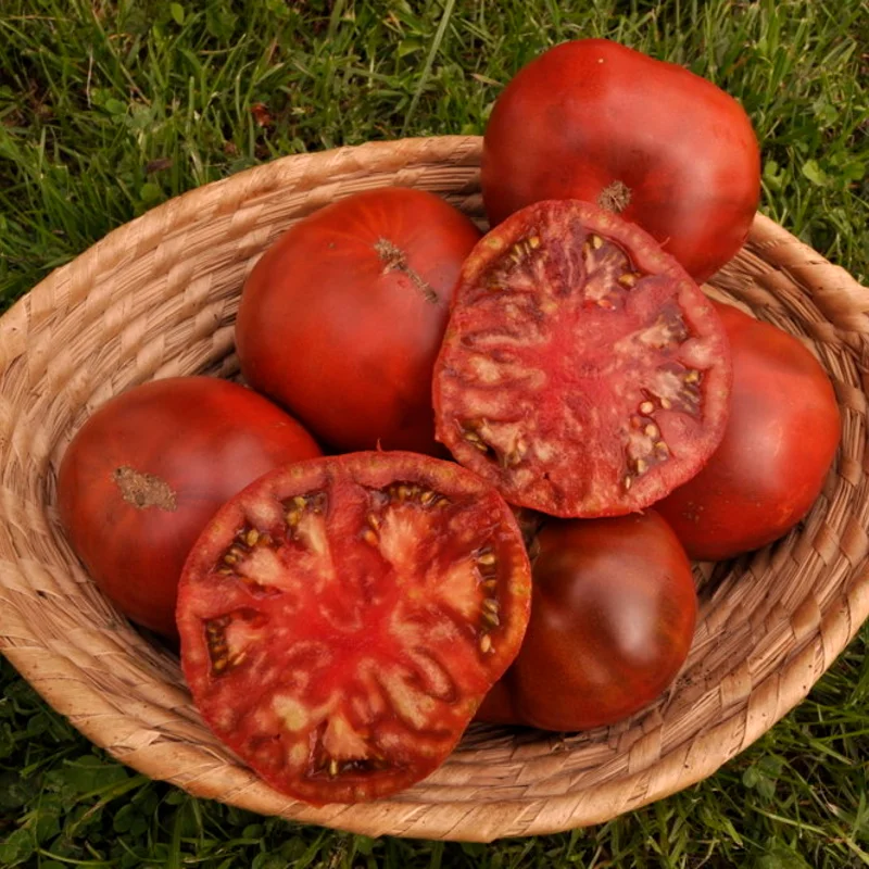 Tomates - Paul Robeson