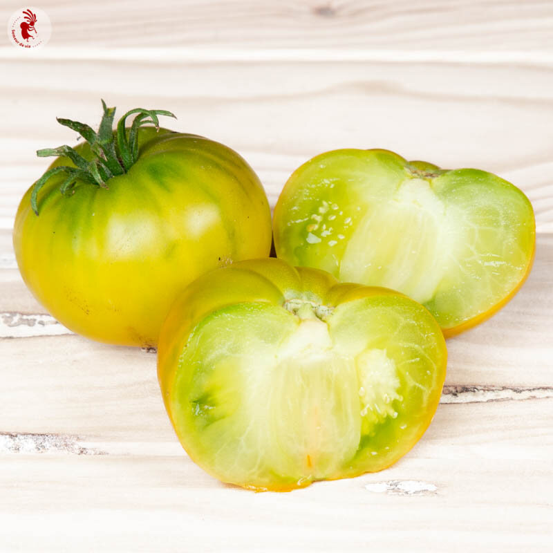 Tomates - Green Velvet