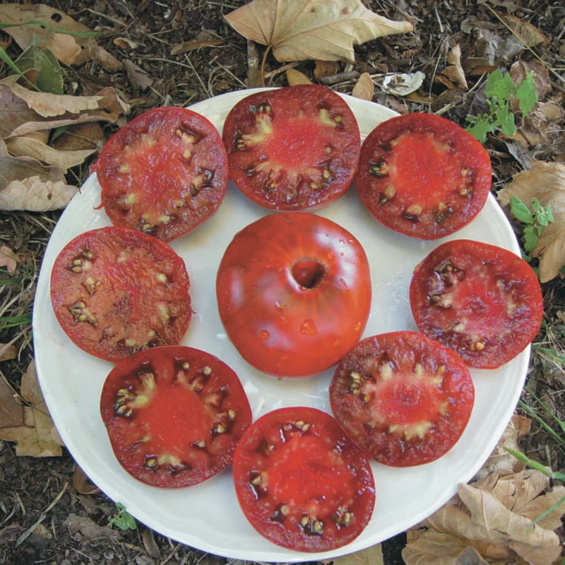 Tomates - Black Aisberg