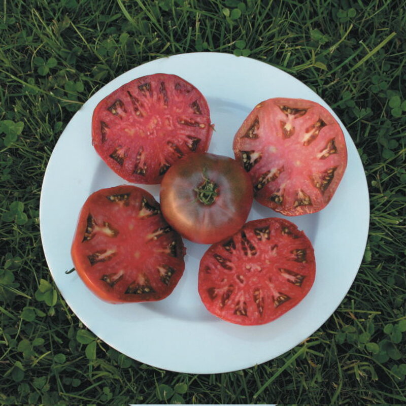 Tomates - Charbonneuse