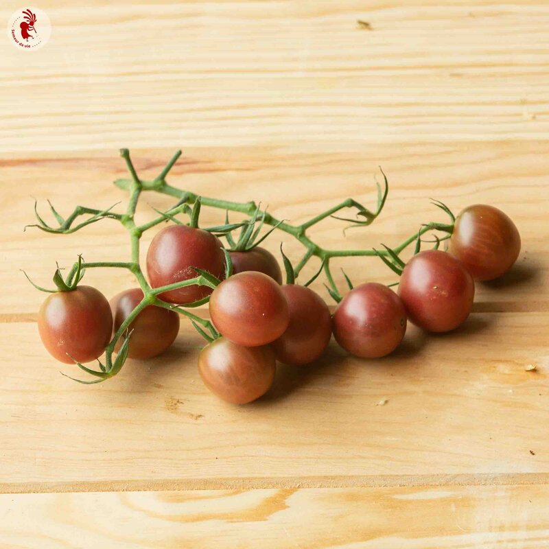 Tomates cerises - Black Cherry / Cerise Noire