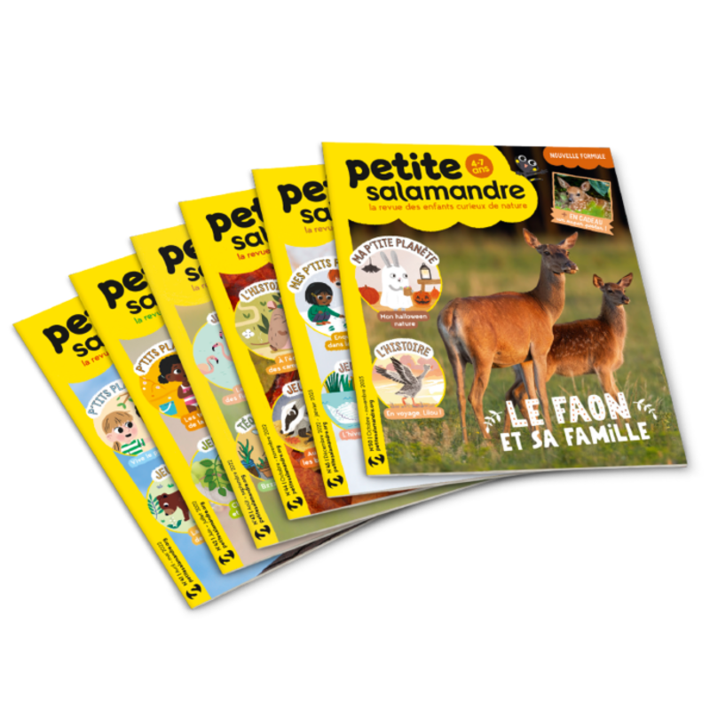 Abonnements Magazines - Abonnement Magazine Petite Salamandre Abonnements Magazine Petite Salamandre 1 an (4-7 ans) 6 numéros