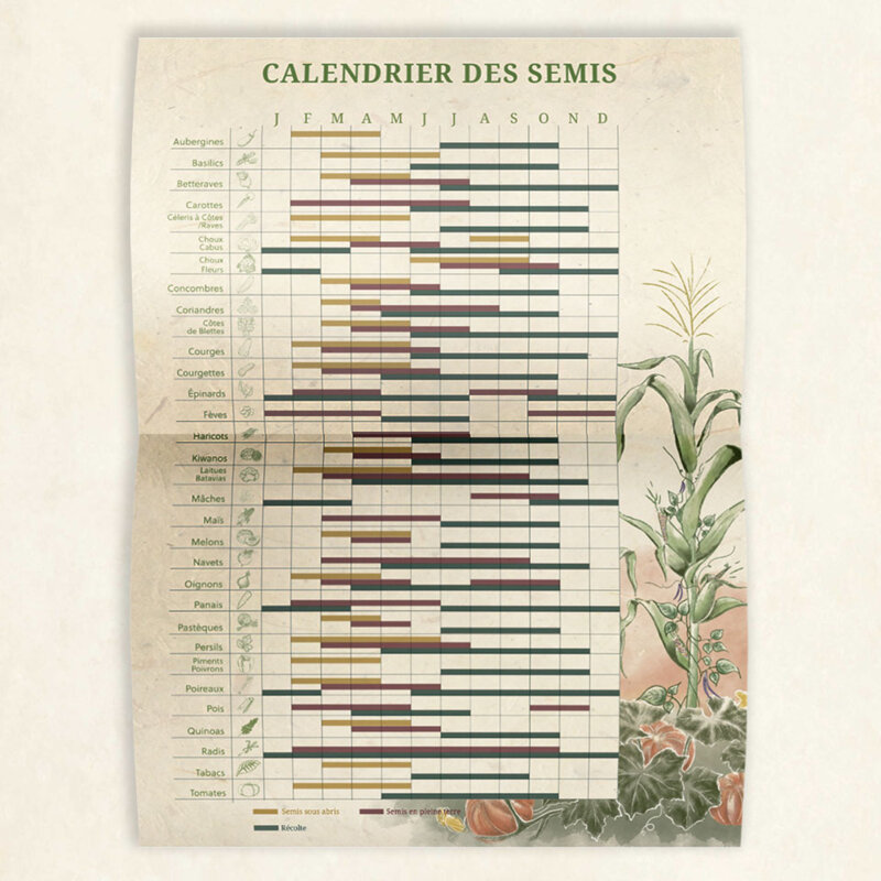 Calendriers - Calendrier Kokopelli 2024