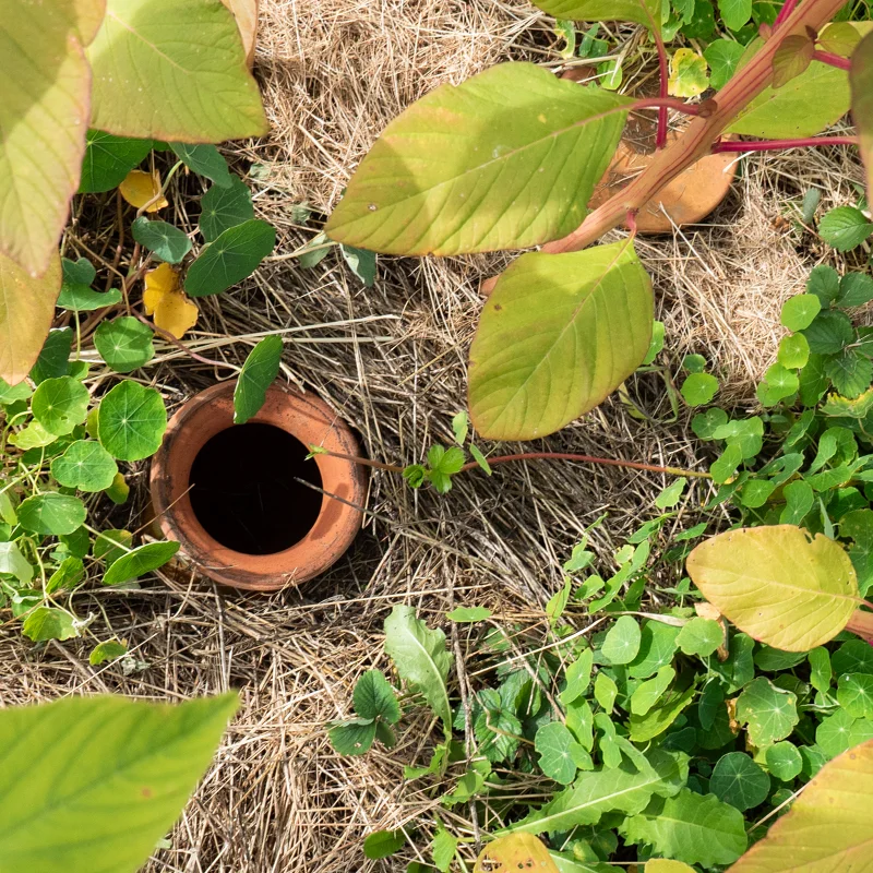 Oyas - Olla à enterrer 1,5 L