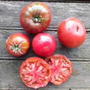 Tomate Noire de Crimée 3 plants bio