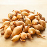 Bulbes d’Oignons "Sturon” AB - 250 g — Allium cepa