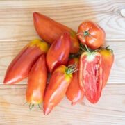 Tomate Cornue des Andes 3 plants bio