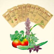 Coffret de 12 sachets de graines de légumes insolites et anciens - nature &  végétal/Graines & prêts à pousser - CHEZ UGO & LÉA