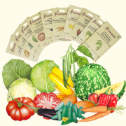 Assortiment - Fruits & légumes pour conserves