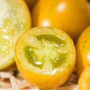 Tomate-Cerise Jaune Mi-Saison Saucy Green