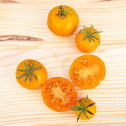 Tomate-Cerise Orange Mi-Saison Ancient Queen