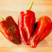 Piment Peu Fort Rouge Brun/Tardif Ancho Poblano