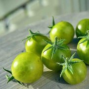 Tomate-Cerise Verte Précoce Dwarf Grinch Cherry