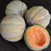 Melon Trifecta