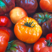 Tomate En Mélange à gros fruits