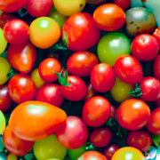 Tomates En Mélange à petits fruits