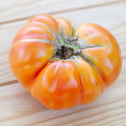 Tomate Bigarrée Mi–Saison Northern Light
