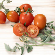 Tomate Rouge Précoce Brin de Muguet