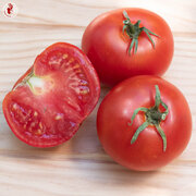 Tomate Rouge Mi-Saison Bonny Best