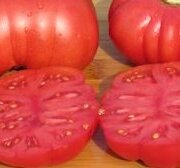 Tomate Rouge Mi-Saison Calabash Red
